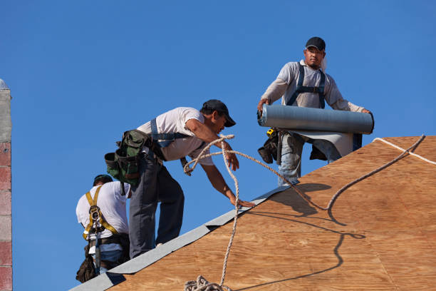Best Roof Waterproofing Services  in Meridian, PA