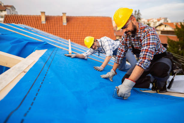 Best Local Roofing Companies  in Meridian, PA